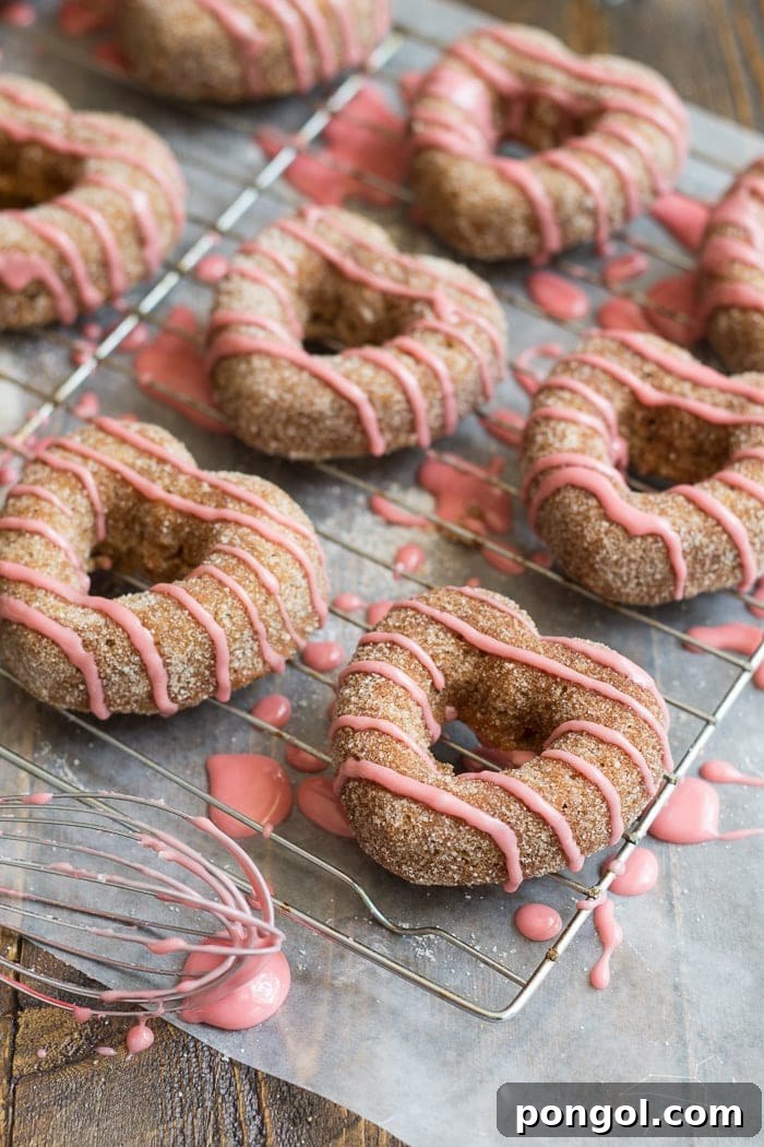 Plant-Based Baked Apple Cider Donuts with Pomegranate Glaze 5 Beautifully plated Baked Apple Cider Donuts with Pomegranate Glaze, ready for a special occasion