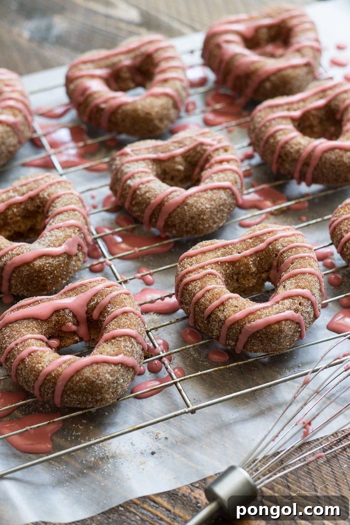 Plant-Based Baked Apple Cider Donuts with Pomegranate Glaze 6 Baked Apple Cider Donuts with a delicate pink pomegranate glaze, garnished with cinnamon sugar