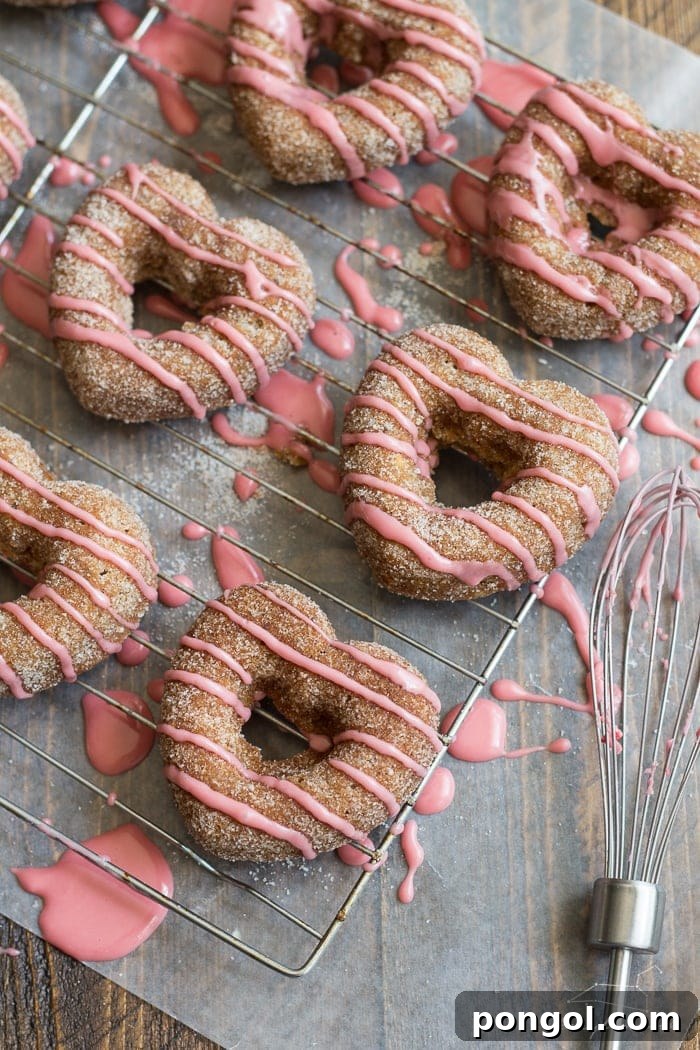 Plant-Based Baked Apple Cider Donuts with Pomegranate Glaze 7 A trio of perfectly baked apple cider donuts, glistening with pomegranate glaze and a sprinkle of cinnamon