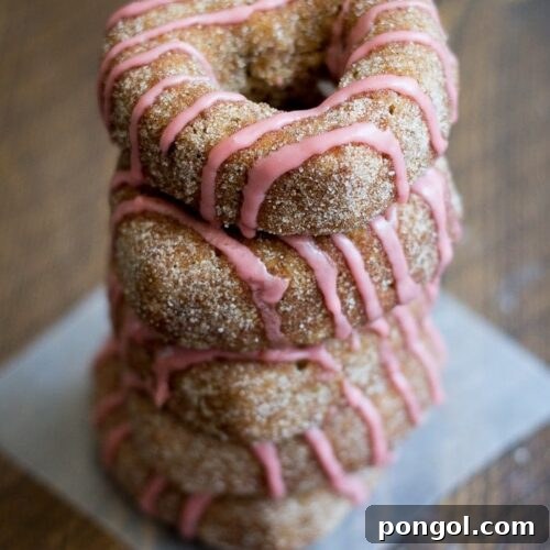 Baked Apple Cider Donuts with Pomegranate Glaze (Vegan), a delightful fall treat