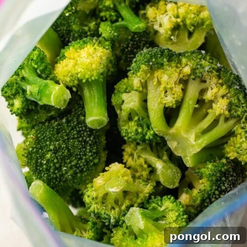 Frozen broccoli in ziploc bag