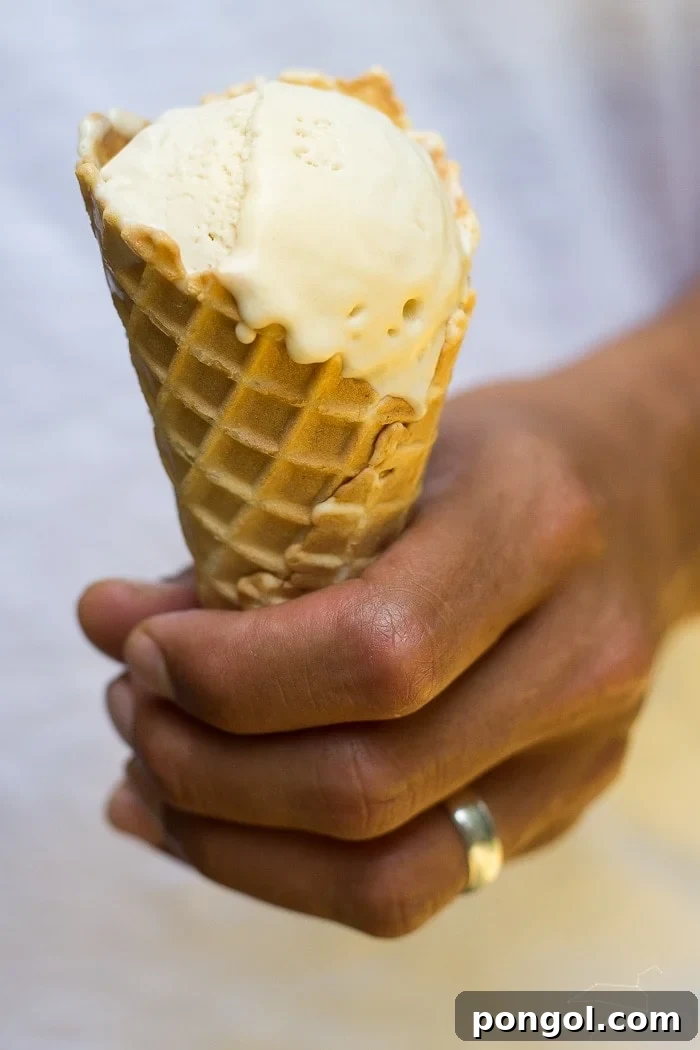 Close-up of creamy vegan salted caramel ice cream in a loaf pan with an ice cream scoop