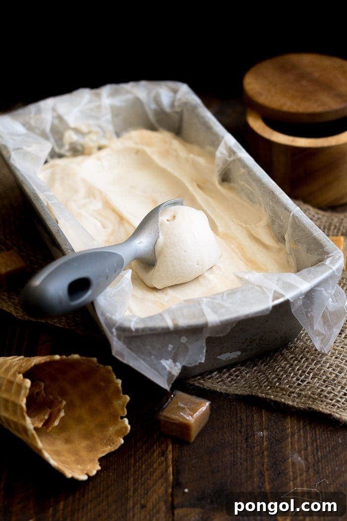 Portion of vegan salted caramel ice cream in a dish with an ice cream scoop