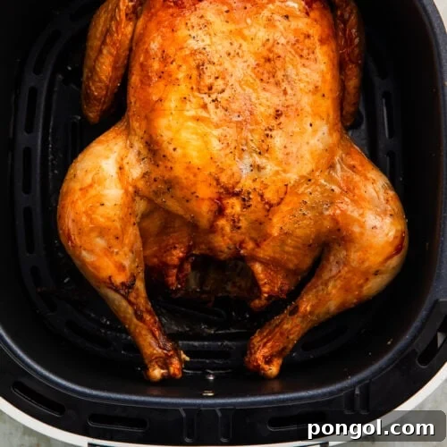 A whole chicken cooked in and resting in an air fryer basket, with a golden-brown, crispy skin.