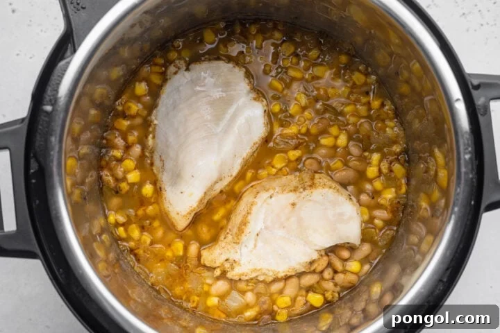 Effortless Instant Pot White Chicken Chili 8 Chicken on top of a bed of ingredients for white chicken chili in the Instant Pot.