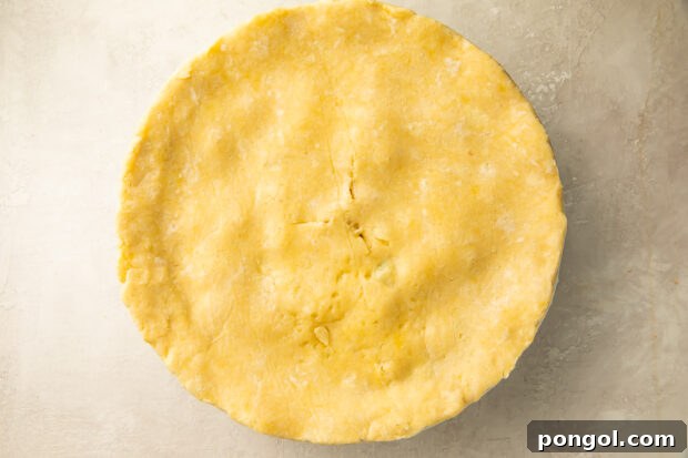 Keto Comfort Chicken Pot Pie 10 Overhead view of an unbaked keto chicken pot pie, with creamy filling topped with the raw keto crust.