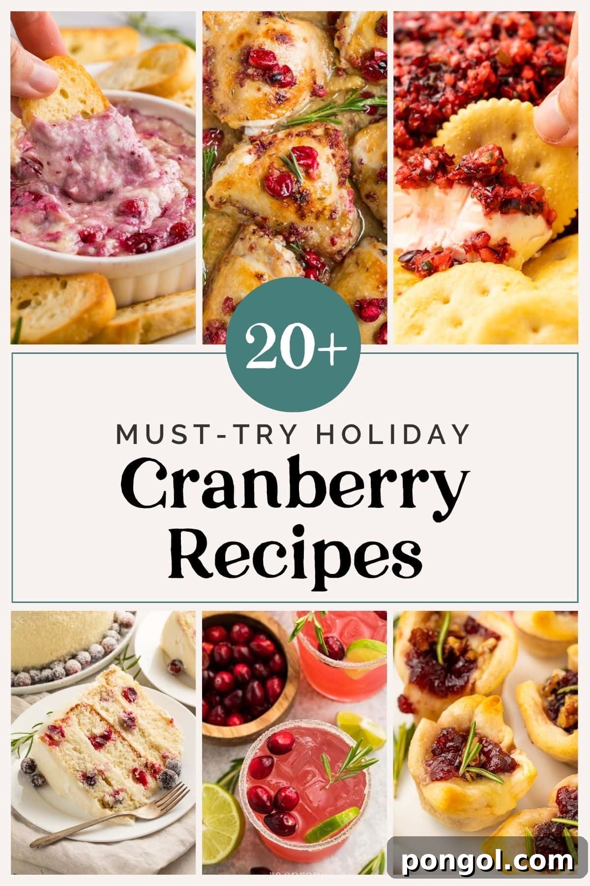 A festive graphic displaying a collection of various cranberry dishes, symbolizing over 20 cranberry recipes roundup.