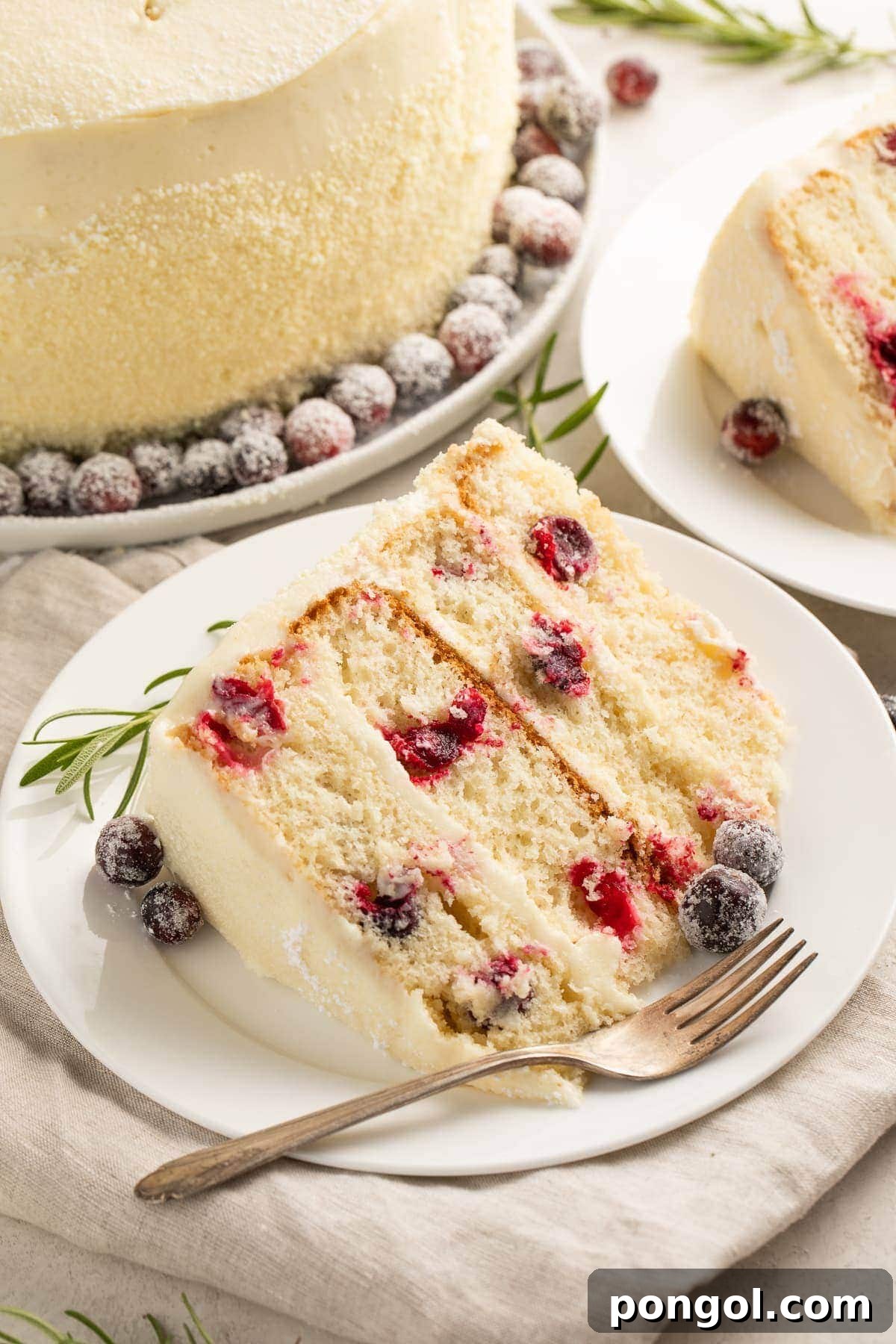 A slice of Cranberry Cake with White Chocolate Frosting, showing its moist texture and festive topping.