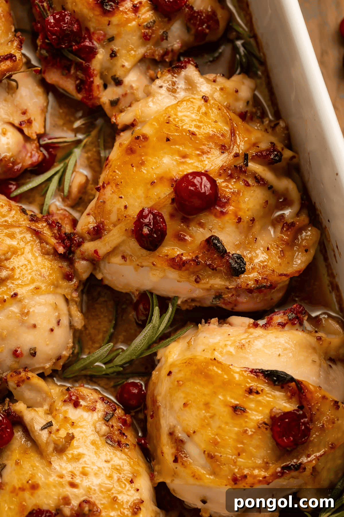 A beautifully plated Cranberry Rosemary One-Pan Chicken with fresh cranberries and rosemary sprigs.