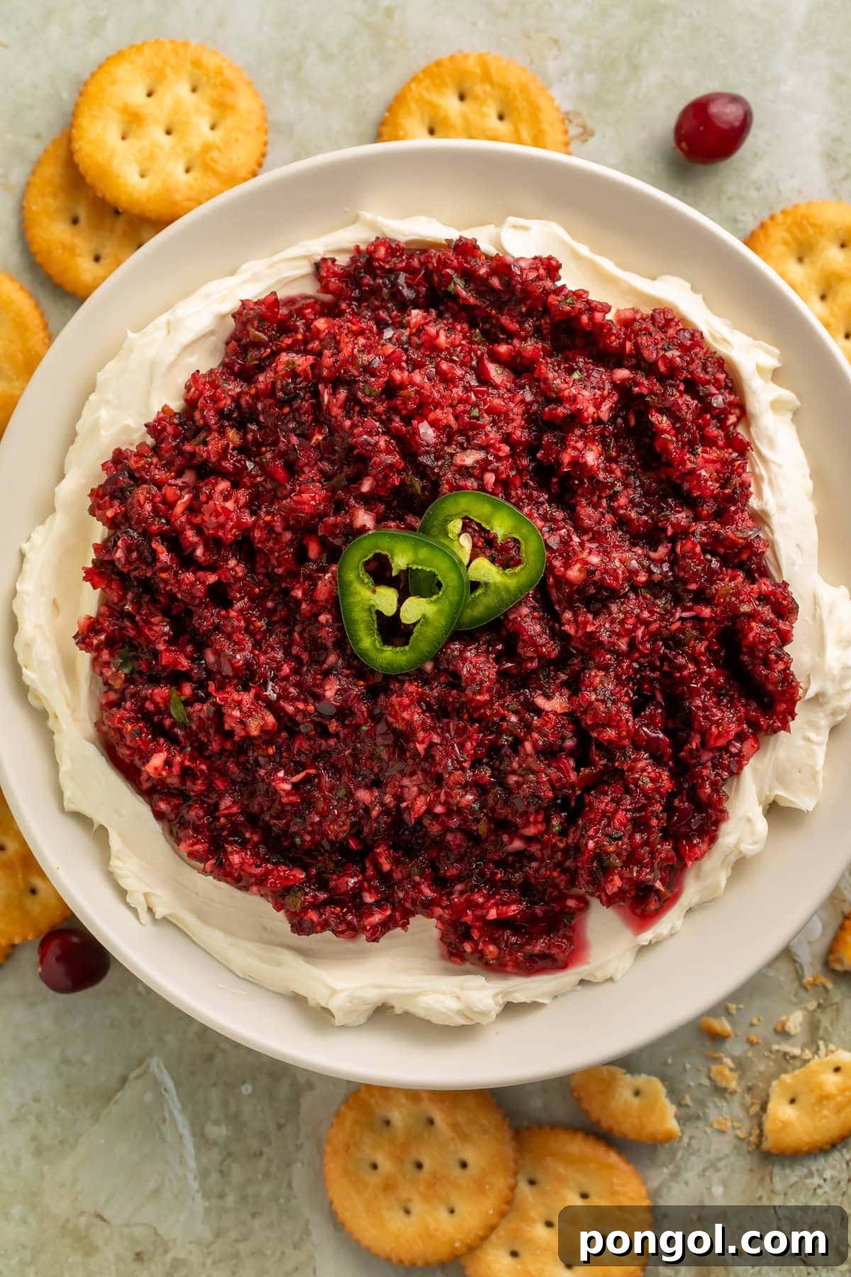Close-up of a vibrant Cranberry Jalapeño Dip, garnished with fresh cilantro and cranberries.