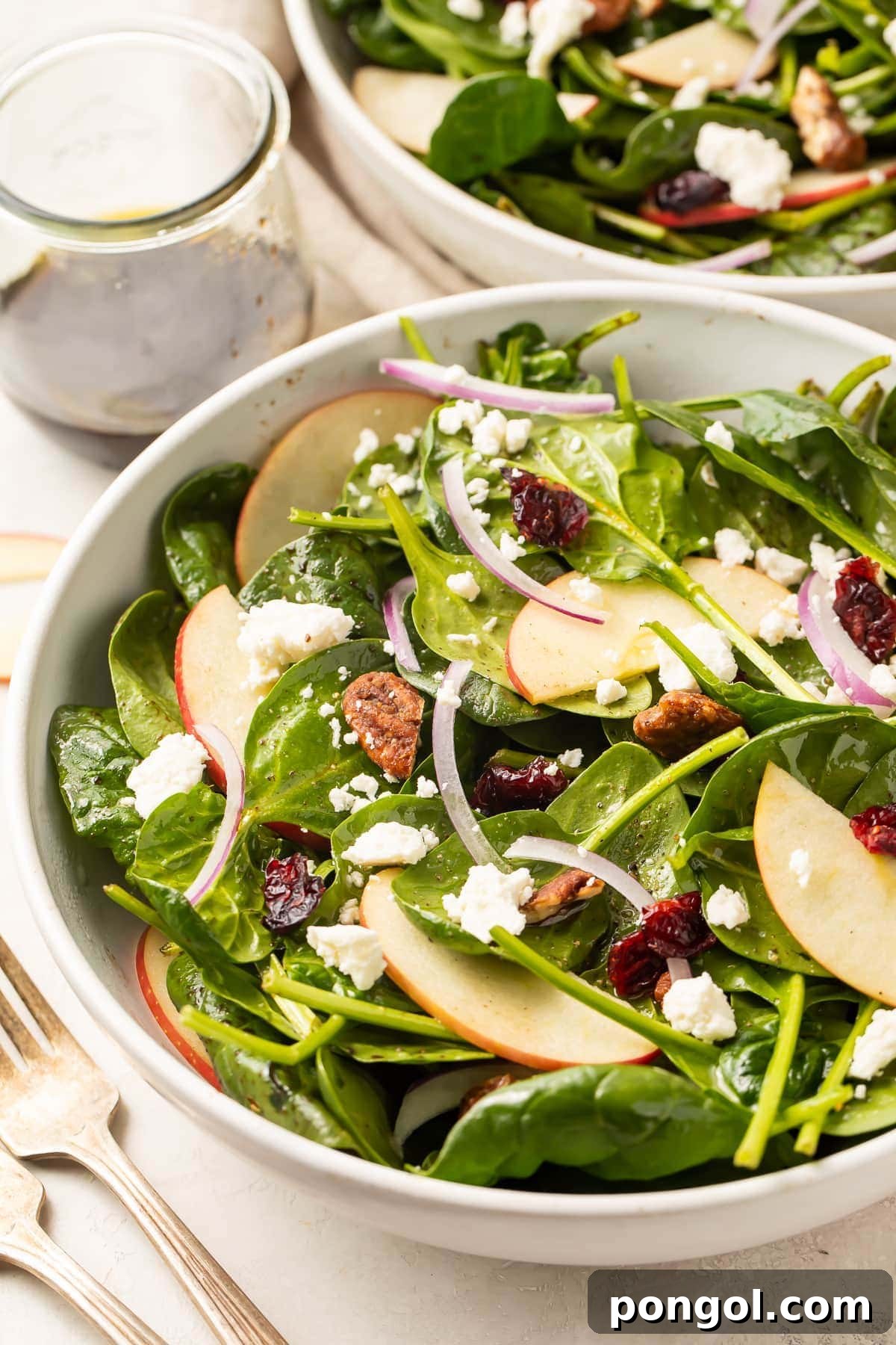 A vibrant Best Spinach Salad with cranberries, apples, and pecans, dressed and ready to serve.