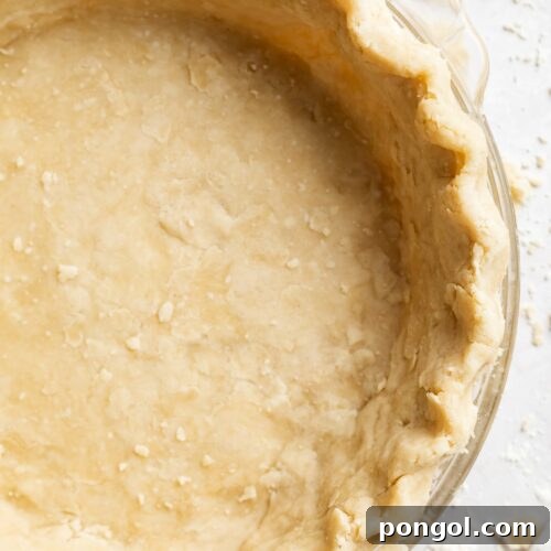 overhead image of vegan pie crust in a pie dish