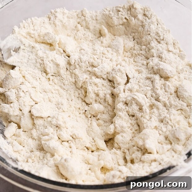 Step 2: Cutting shortening into flour for vegan pie crust