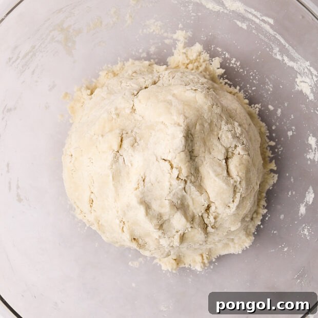 Step 3: Adding water to form vegan pie crust dough