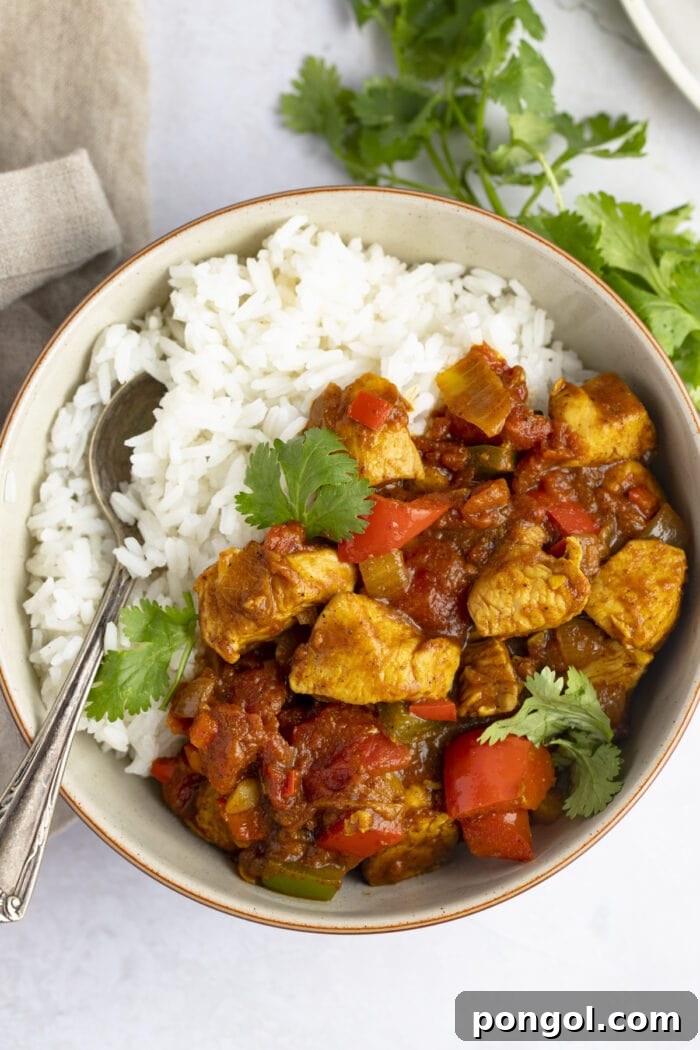 Vibrant and Fiery Chicken Jalfrezi 3 Overhead view of chicken jalfrezi in a bowl with white rice, garnished with fresh cilantro