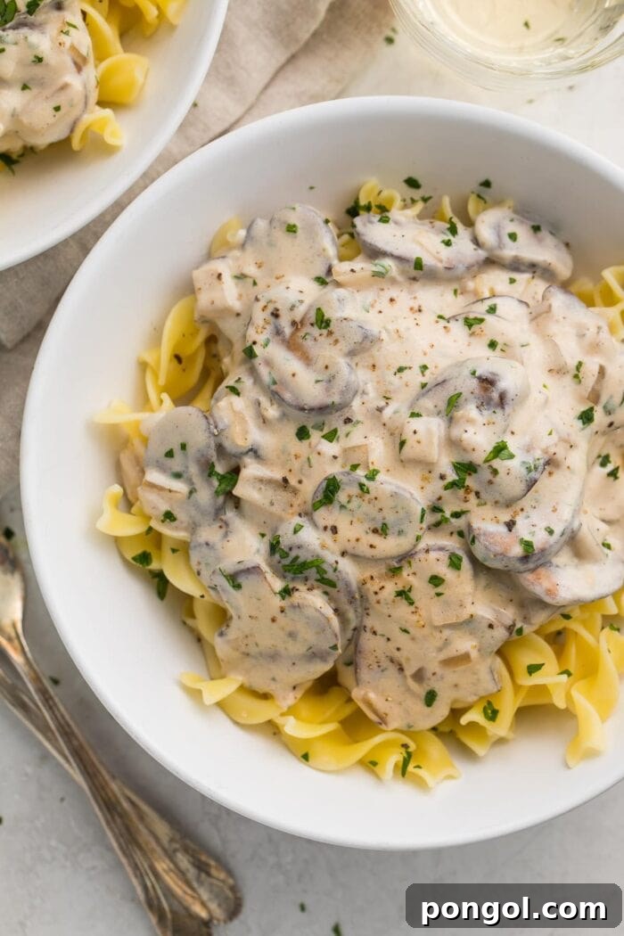 A large bowl of hearty mushroom stroganoff, viewed from an overhead angle, garnished with fresh parsley.