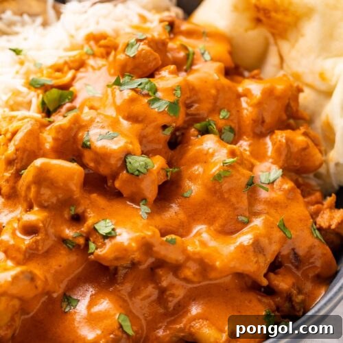 Instant Pot butter chicken in a large bowl with steamed rice and naan