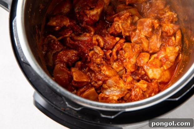 Butter chicken and spices in an Instant Pot