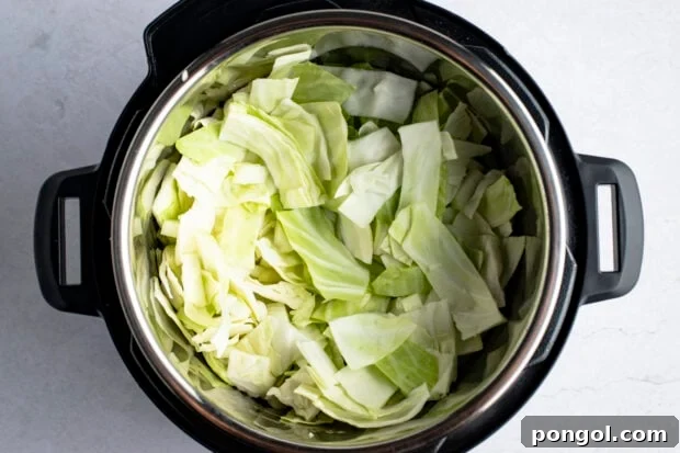 Roughly chopped cabbage and diced onion in Instant Pot