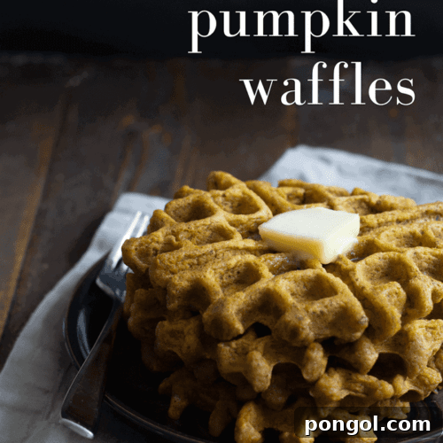 Tender, spiced vegan pumpkin waffles. Perfect for fall mornings