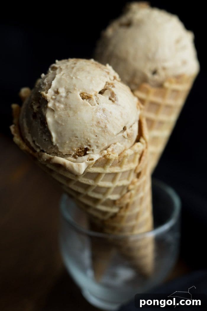 Vegan Cookie Butter Earl Grey ice cream. Just as good--maybe even better--than it sounds! Complete with Speculoos crumbs and a Cookie Butter swirl mixed in.