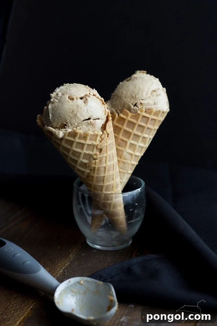 Cookie Butter Earl Grey ice cream (vegan). Just as good--maybe even better--than it sounds! Complete with Speculoos crumbs and a Cookie Butter swirl mixed in.