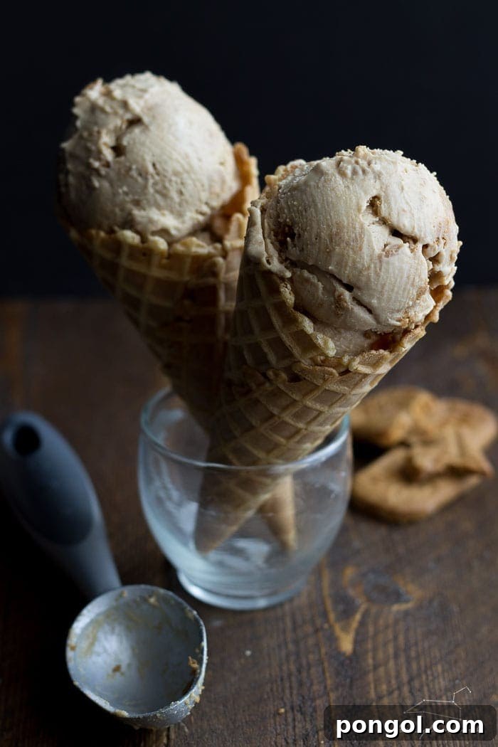 Cookie Butter Earl Grey ice cream (vegan). Just as good--maybe even better--than it sounds! Complete with Speculoos crumbs and a Cookie Butter swirl mixed in.