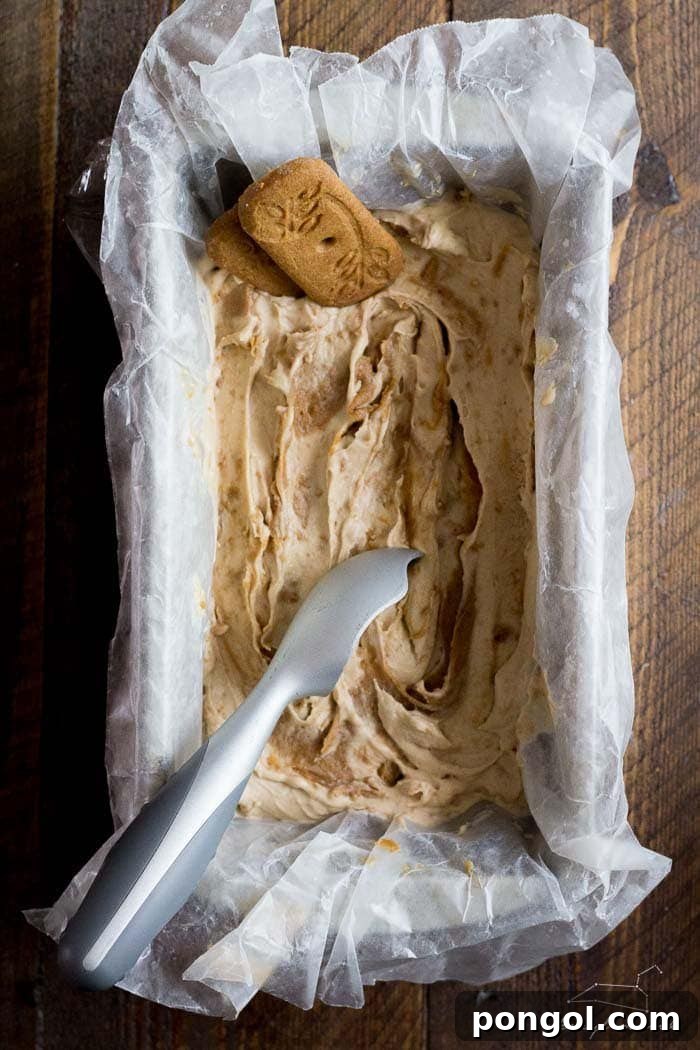 Cookie Butter Earl Grey ice cream (vegan). Just as good--maybe even better--than it sounds! Complete with Speculoos crumbs and a Cookie Butter swirl mixed in.
