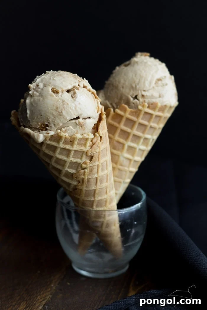 Cookie Butter Earl Grey ice cream (vegan). Just as good--maybe even better--than it sounds! Complete with Speculoos crumbs and a Cookie Butter swirl mixed in.