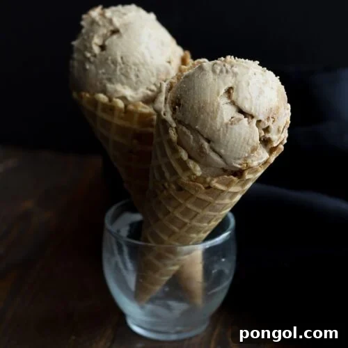 Delicious Vegan Cookie Butter Earl Grey Ice Cream