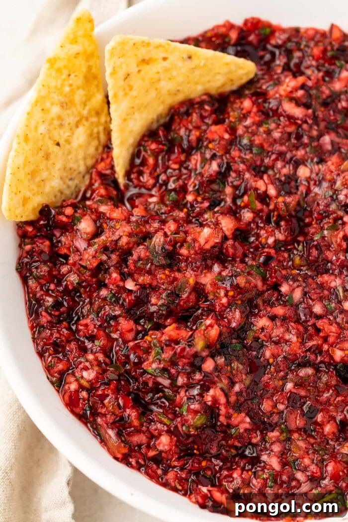 A large bowl of vibrant red cranberry salsa, ready to be served, surrounded by golden tortilla chips.
