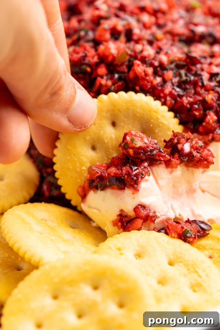 A hand dipping a golden Ritz cracker into a block of softened cream cheese generously topped with vibrant cranberry salsa, creating a perfect bite.