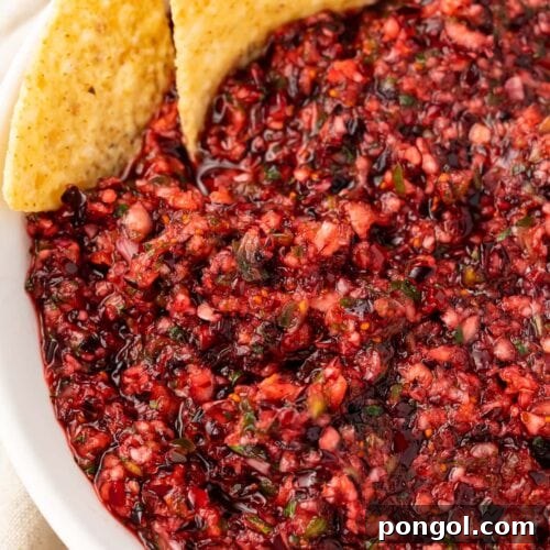 A large bowl of cranberry salsa with tortilla chips