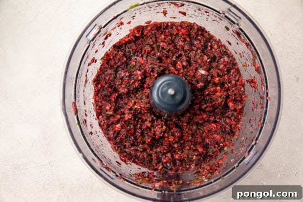 Cranberry salsa in food processor bowl