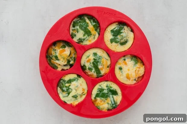 Instant pot cooking egg bites