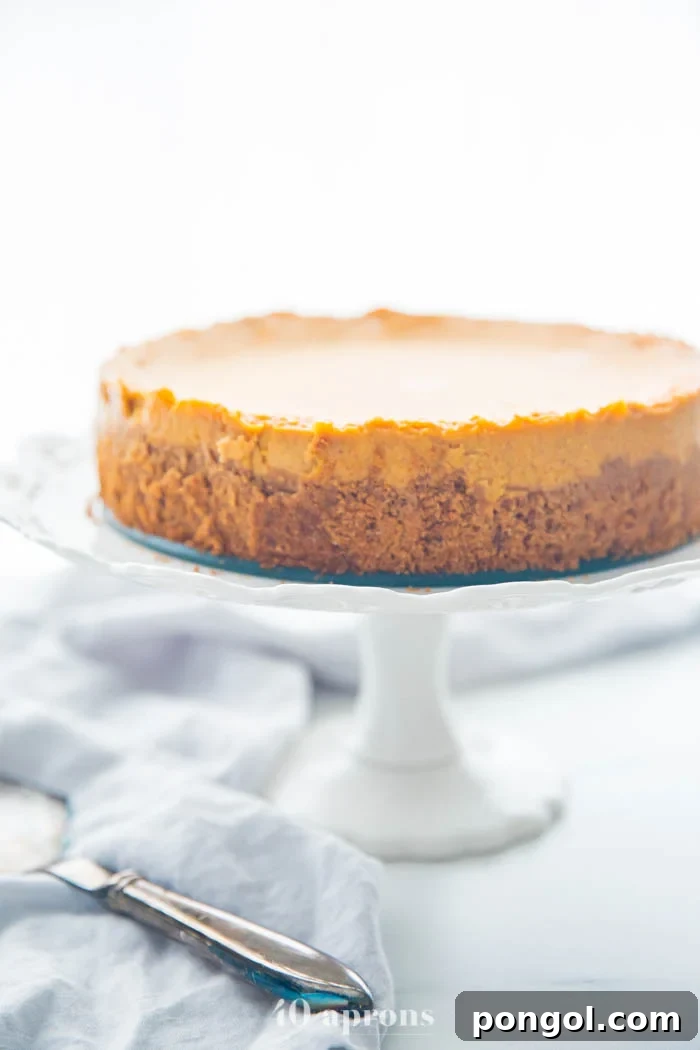 Vegan pumpkin cheesecake on a cake stand