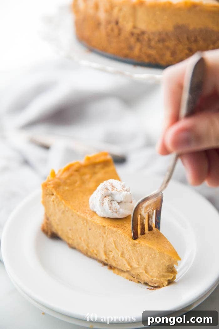 Vegan pumpkin cheesecake with whipped coconut cream on a plate with a fork cutting into it