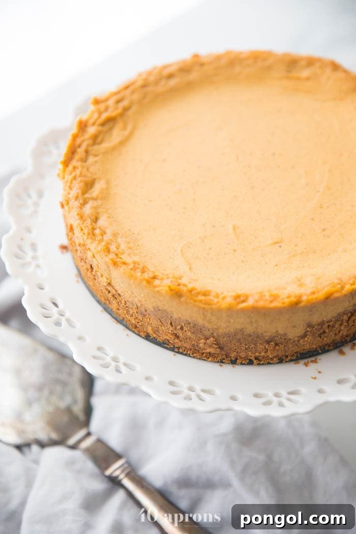 Vegan pumpkin cheesecake on a cake stand