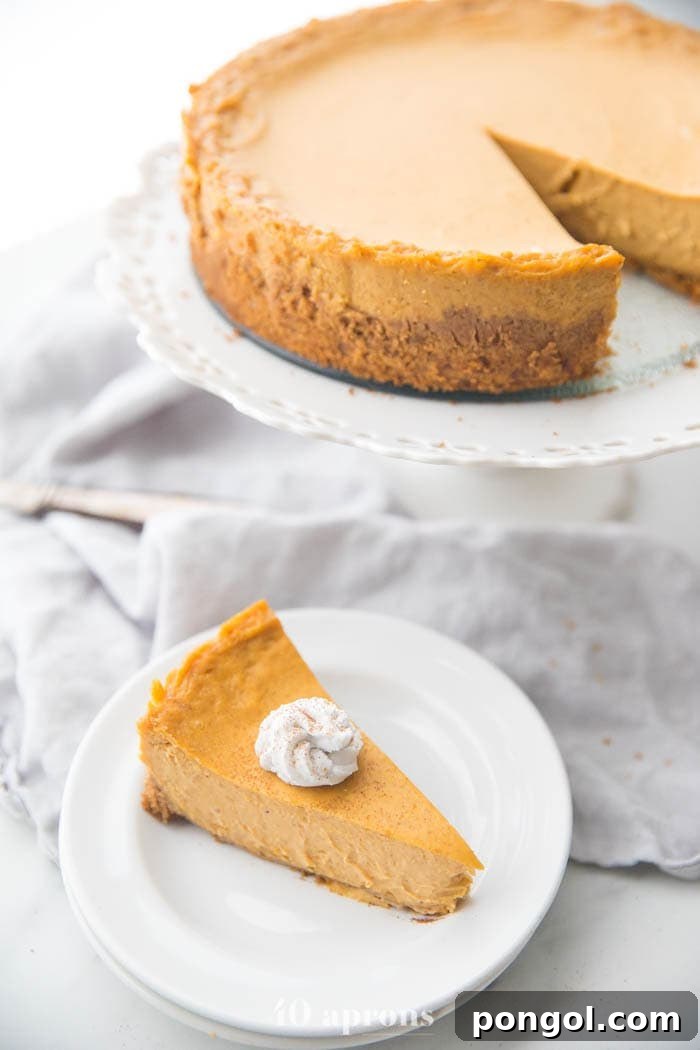 Vegan pumpkin cheesecake with whipped coconut cream on a plate