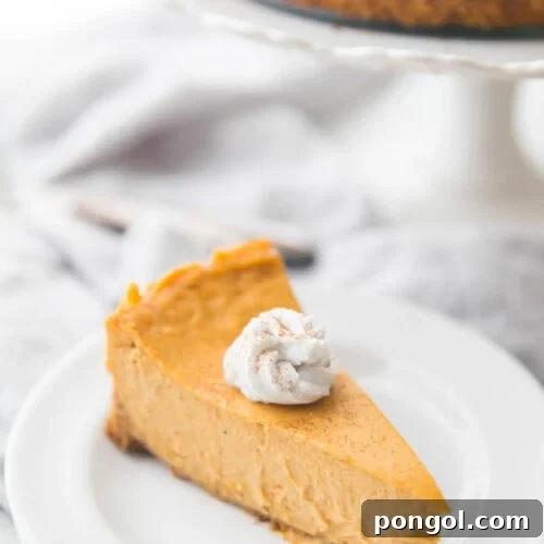 Vegan pumpkin cheesecake with whipped coconut cream on a plate