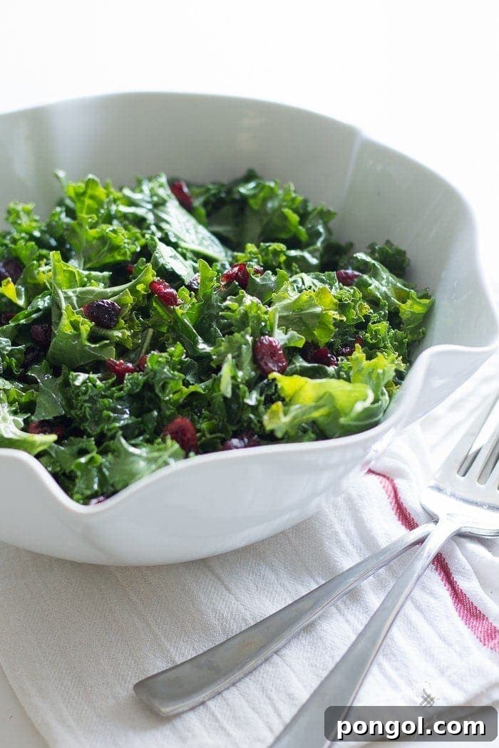 A vibrant raw kale salad with cranberries, tossed in a lemony honey vinaigrette, perfect for holiday feasts.