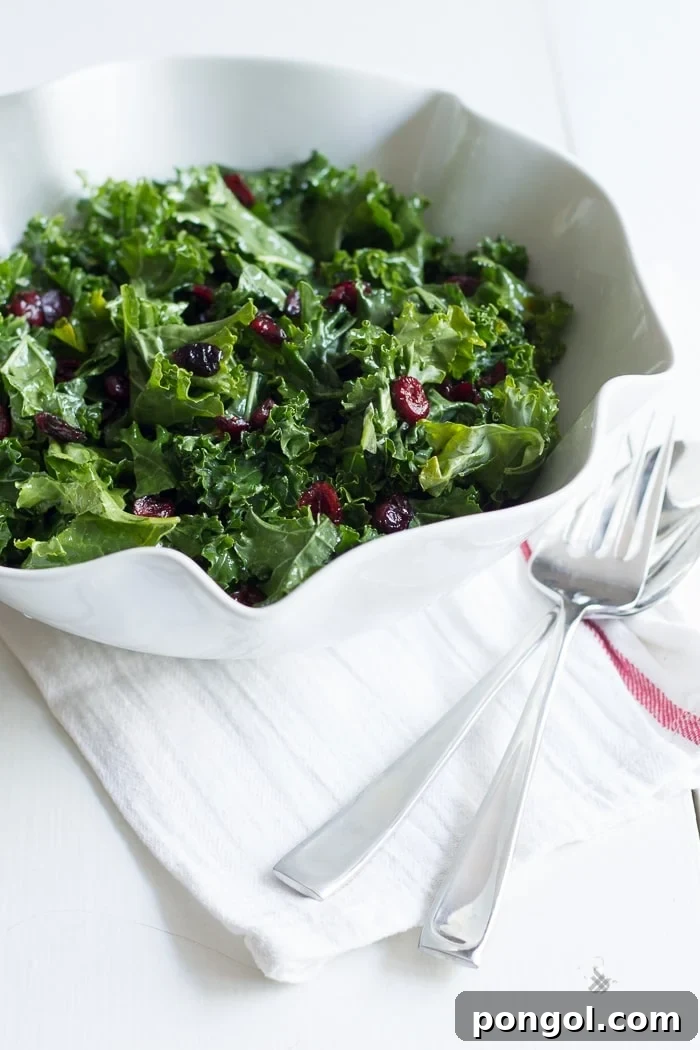 Close-up of a refreshing raw kale salad featuring sweet and tart dried cranberries, glistening with a lemon-honey dressing.