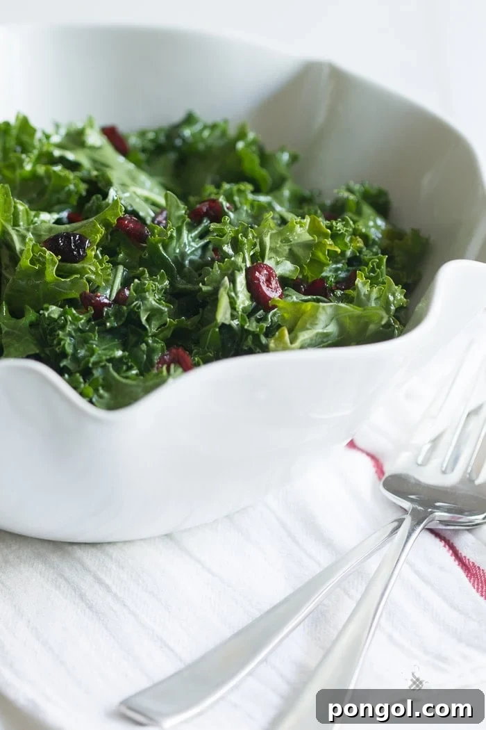 A vibrant side dish: Raw kale and cranberry salad, tossed in a light lemony vinaigrette, ready for serving.