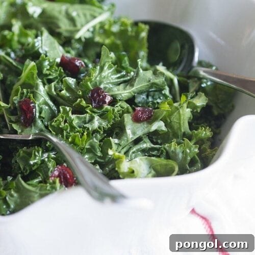 A bright and light raw kale salad tossed in a lemony honey vinaigrette and dotted with sweet, tart dried cranberries. The perfect side dish for a heavy holiday feast!