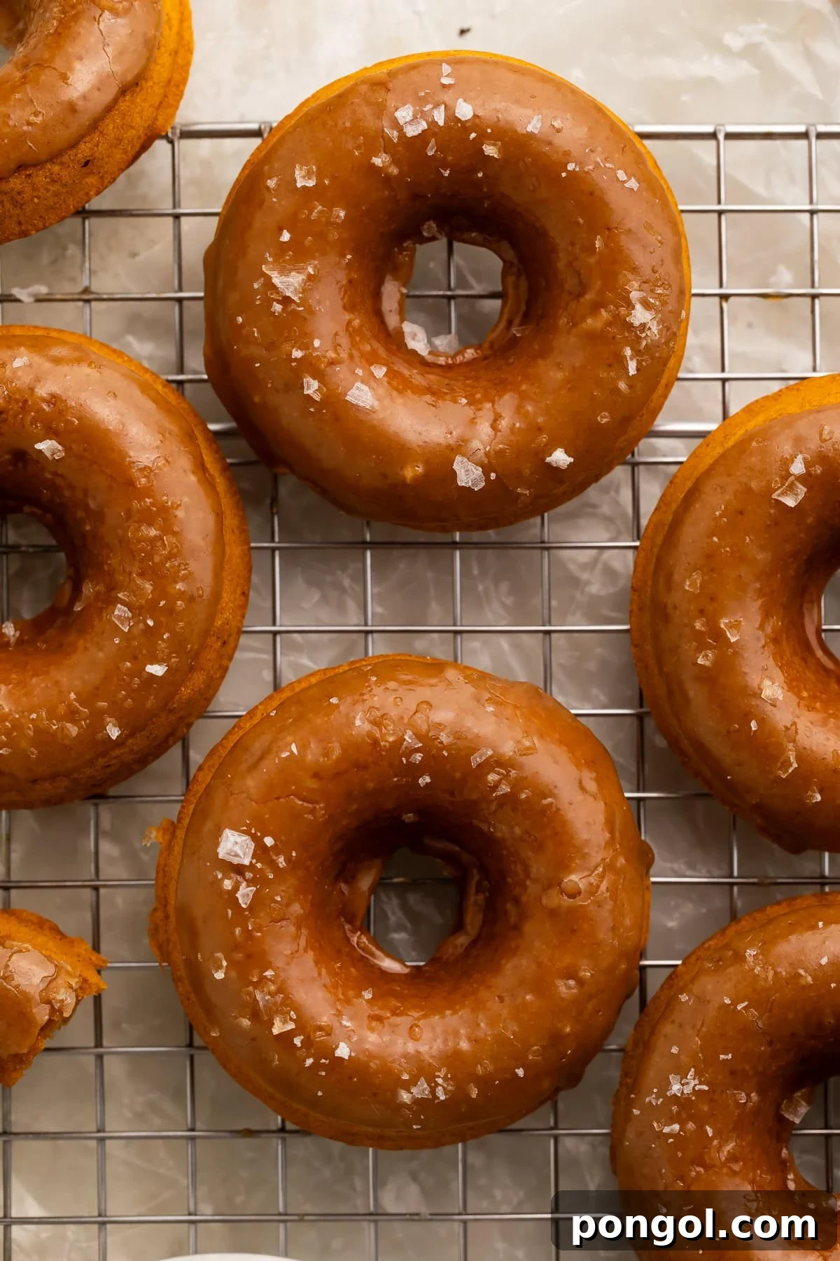 Vegan pumpkin donuts with salted caramel glaze on wire cooling rack with sea salt flakes