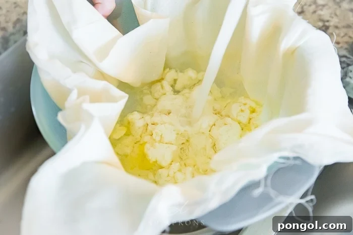 A close-up shot of white milk curds being rinsed under gentle running water in a colander lined with cheesecloth. This step is vital for removing excess lemon flavor and preparing the curds for pressing into homemade paneer, ensuring a clean and fresh taste.
