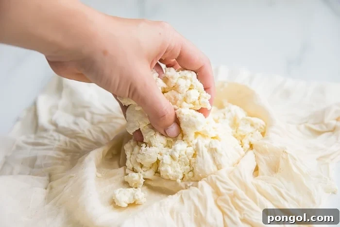 Hands gently tossing white milk curds with salt in a bowl, preparing them for the next stage of paneer making. The curds appear soft and freshly formed, indicating they are ready to be pressed into the creamy Indian cheese. This seasoning adds crucial flavor.