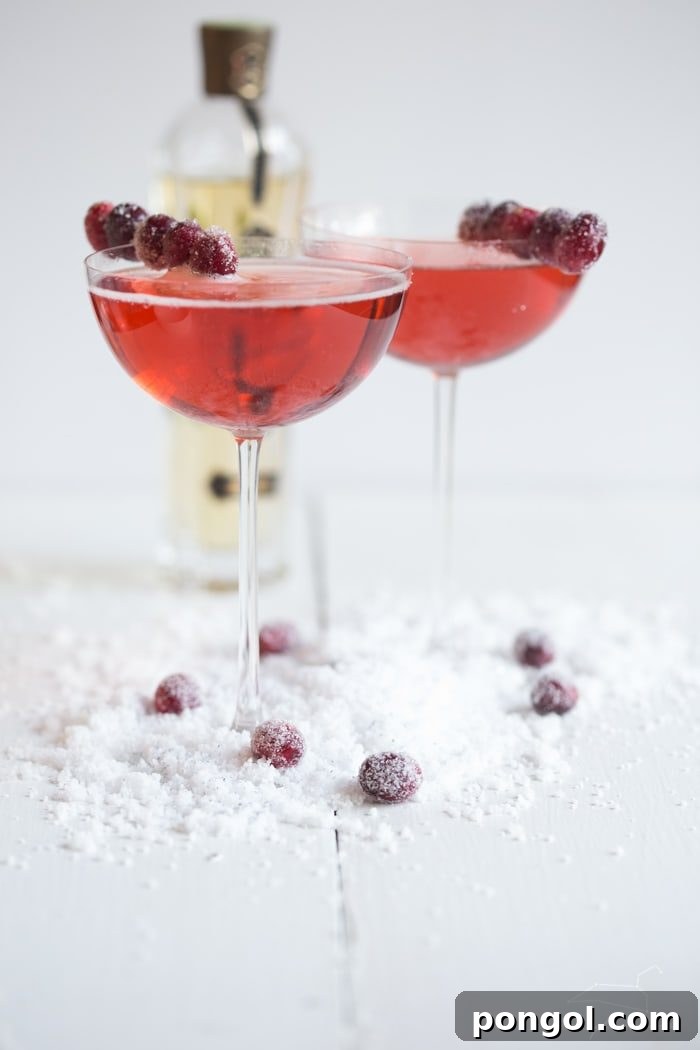 Two cranberry elderflower champagne cocktails in coupe glasses with sugared cranberry garnishes on snowy surface, exuding festive charm.