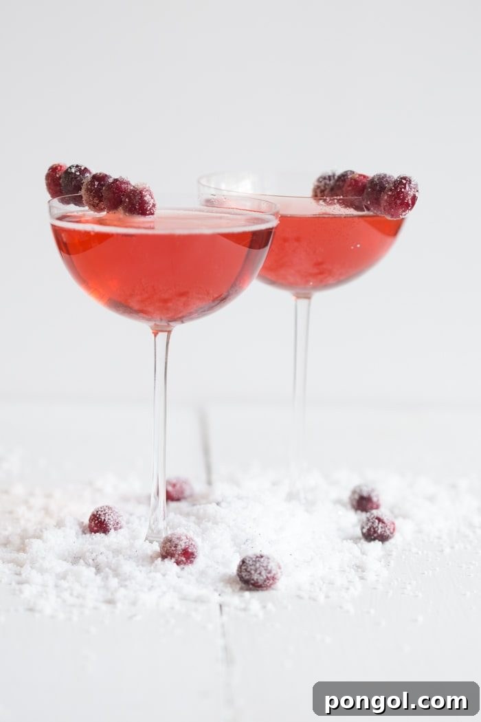 Close-up of two cranberry champagne cocktails with sugar-coated cranberry garnishes and scattered sugared cranberries, emphasizing the dazzling visual appeal.