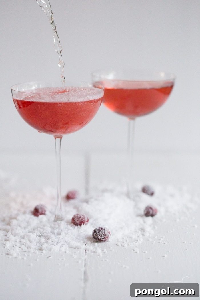 Champagne being poured into cranberry cocktail, creating beautiful bubbles and fizz in a coupe glass on a snowy surface, capturing the moment of preparation.
